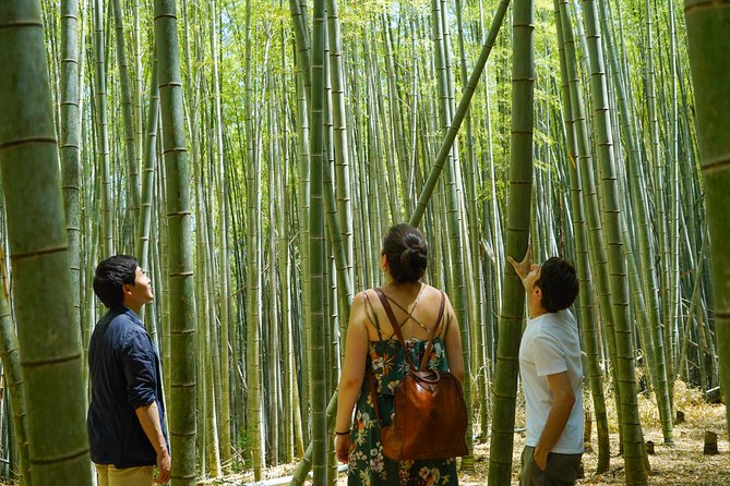 Fushimi Inari Hidden Hiking Tour (Private Option Available) - The forest trail and bamboo grove