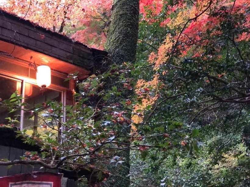 Get to know Minoo from Osaka. Katsuoji Temple, Ryuanji Waterfall and Ryuanji Temple - Walking to Minoo Waterfall