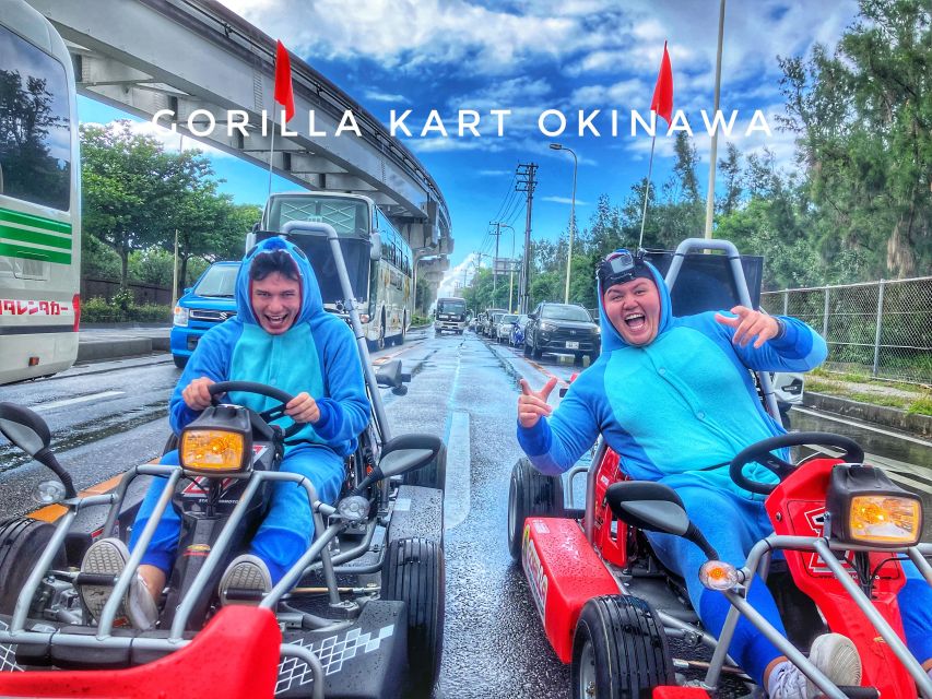 Gorilla Kart Tour-Plenty of Time Slots|Many Great Views - Key points before you book