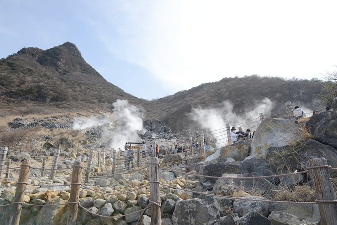 Hakone 6 hour Private Tour with Government-Licensed Guide - Building your Hakone day around three or four sights
