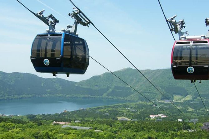 Hakone 6 hour Private Tour with Government-Licensed Guide - Seven museums, each suited to a different interest