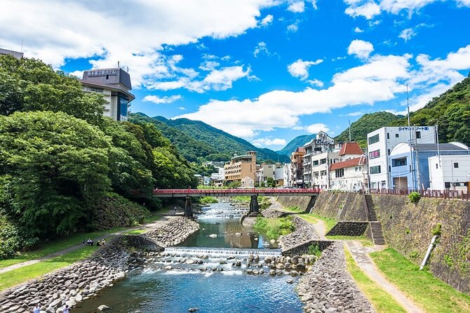 Hakone 6 hour Private Tour with Government-Licensed Guide - What your guide adds beyond directions