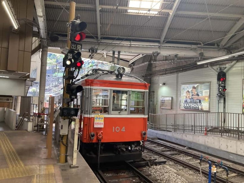 Hakone Adventure: Explore Nature’s Beauty and Tranquility - Timing, weather, and physical demands