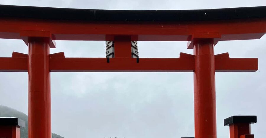 Hakone: Day Tour to View Mt Fuji & Wooden Culture Experience - Yosegi-zaiku turns wood into a puzzle