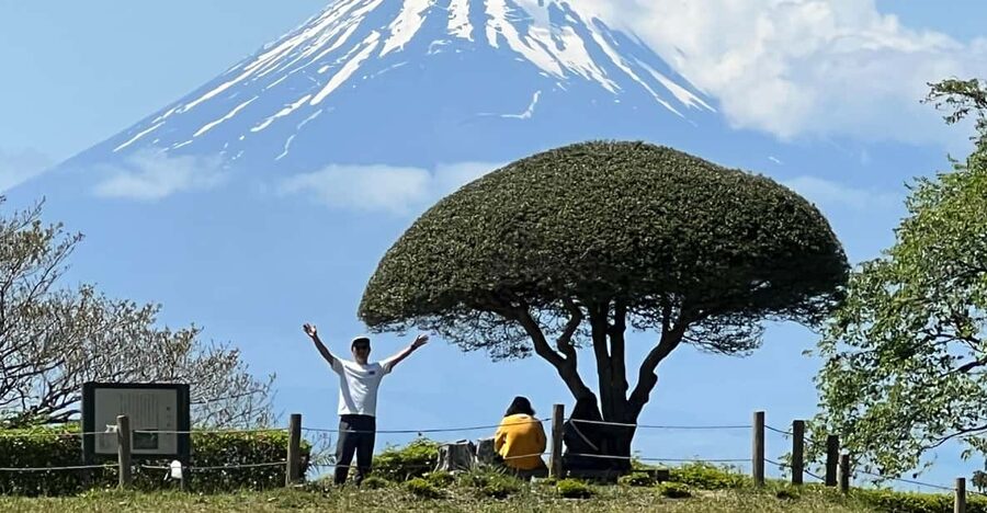 Hakone Hachiri: Old Tokaido Highway Hiking Tour - Key points to know before booking