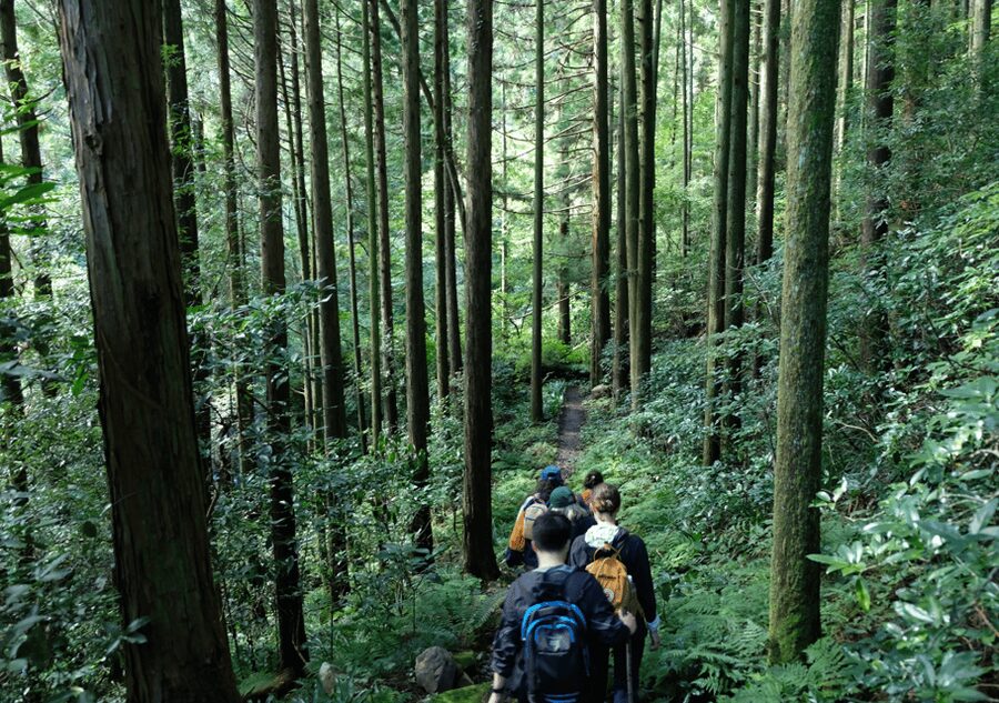 Hakone Hachiri: Old Tokaido Highway Hiking Tour - Fitness, weather, and what to bring