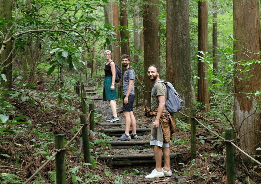 Hakone Hachiri: Old Tokaido Highway Hiking Tour - Why Hakone Hachiri is more than a forest walk
