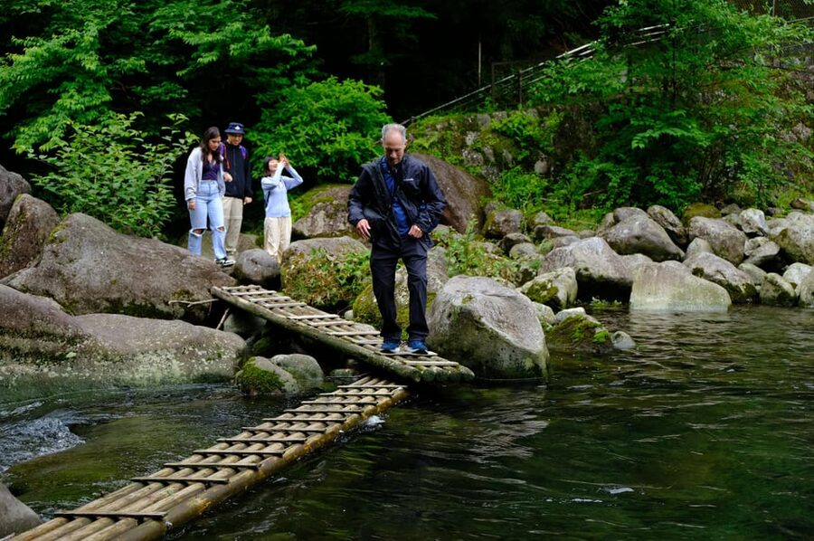 Hakone Hachiri: Old Tokaido Highway Hiking Tour - Beyond Hakone Pass, a bus helps with the hard work