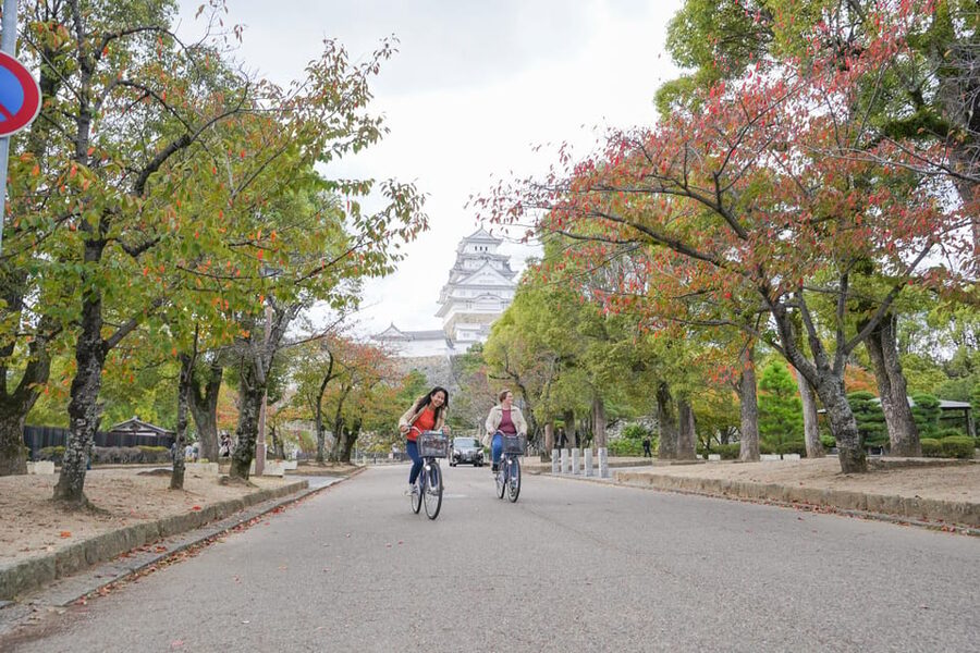 Half-day Himeji Castle Town Bike Tour with Lunch - Who should book this Himeji tour?