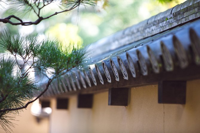Hidden Kyoto E-Biking tour - Why this bike ride shows you a different Kyoto