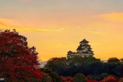 Himeji Half-Day Private Tour with Government-Licensed Guide