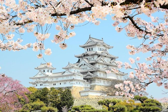 Himeji Half-Day Private Tour with Government-Licensed Guide - Himeji City Museum of Art