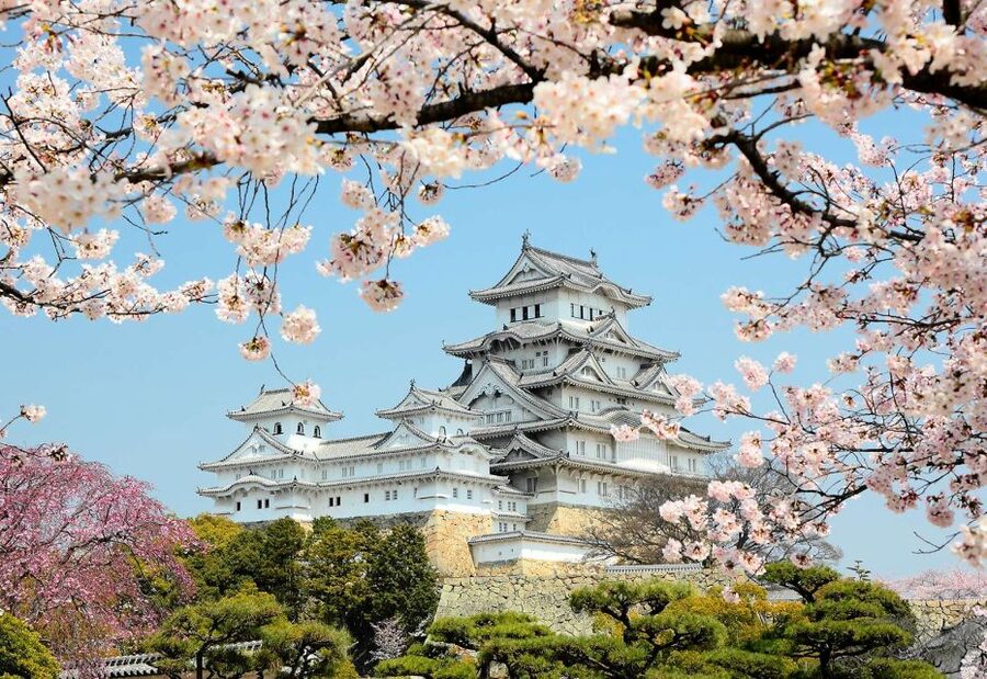 Himeji: Private Customized Tour with Licensed Guide - Why a private Himeji guide can be worth the price