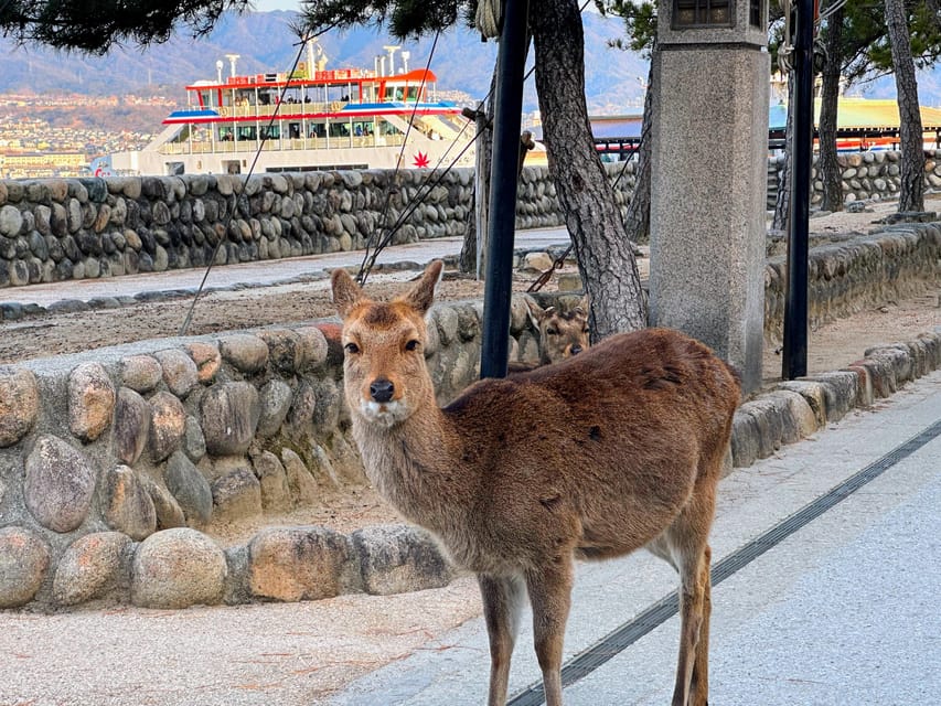 Hiroshima: Hiroshima and Miyajima UNESCO Sites 1-Day Tour - Peace Memorial Park and the human cost