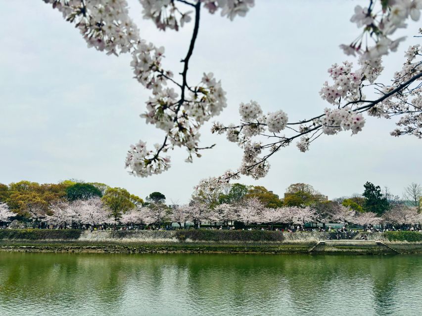 Hiroshima: History of Hiroshima Group Walking Tour - Why this two-hour walk matters in Hiroshima