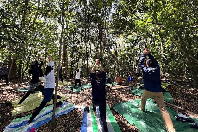 Hiroshima Local guided Hiking Tour&Open-air Tea Ceremony - Hiroshima Toshogu Shrine sets the tone