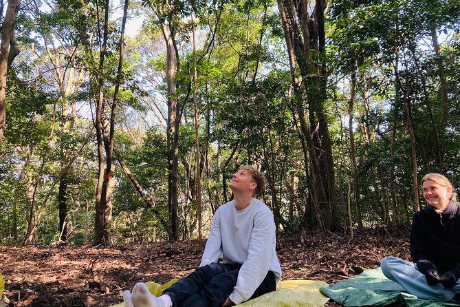 Hiroshima Local guided Hiking Tour&Open-air Tea Ceremony - Forest bathing is more than a walk in the trees