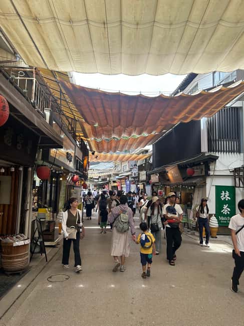 Hiroshima & Miyajima 6.5h Guided Tour – Dome, Park & Shrine - Walking through Peace Memorial Park