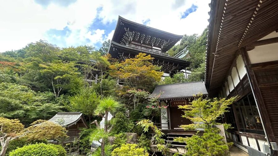 Hiroshima & Miyajima 6.5h Guided Tour – Dome, Park & Shrine - The Peace Memorial Museum in a one-hour window