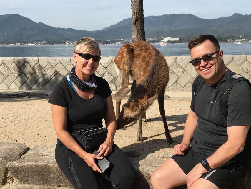 Hiroshima & Miyajima: Full-Day Private Tour & Licensed Guide - Who should book this Hiroshima day?