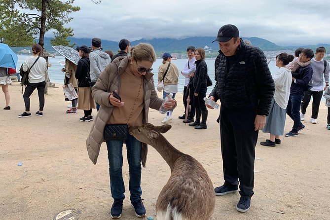Hiroshima / Miyajima Full-day Private Tour with Government Licensed Guide - Public transportation is part of the bargain