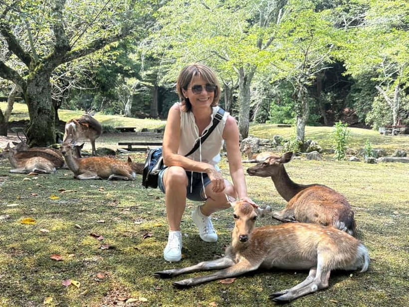 Hiroshima: Miyajima Island Half-Day Tour with Guide - Meeting Miyajima’s deer, with food safely out of reach