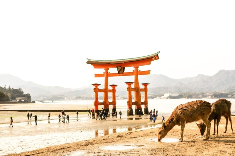 Hiroshima: Miyajima Peace Memorial Icons of Peace and Beauty - How the transport and timing work