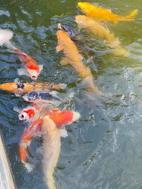 Hiroshima & Miyajima: UNESCO A-Bomb Dome & Itsukushima - Miyajima food and Omotesando shopping street
