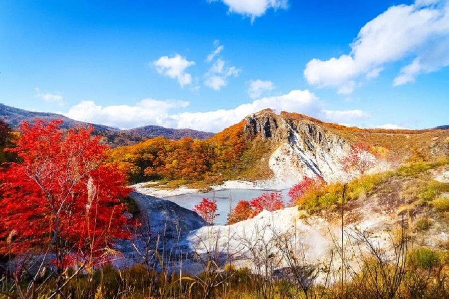 Hokkaido│Noboribetsu & Lake Toya Tour with Ropeway Ticket - A careful word about Showa Shinzan Bear Ranch