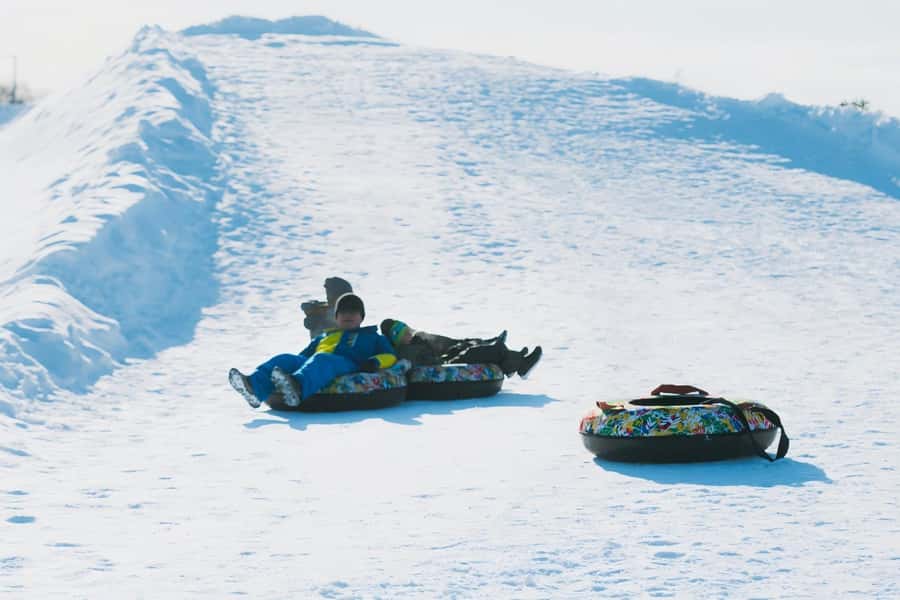 Hokkaido, Sappro, Otaru & Cape Kamui One-day Tour - What $66 buys you, and what it does not