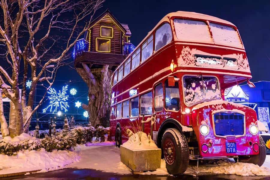 Hokkaido, Sappro, Otaru & Cape Kamui One-day Tour - Who should book this Sapporo day trip?