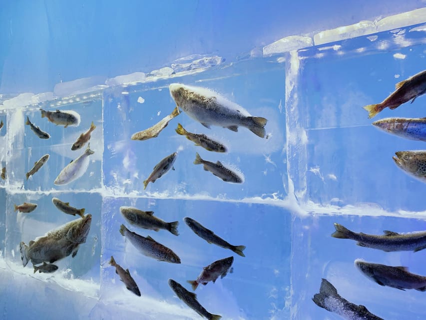Hokkaido Tour:Sapporo to Noboribetsu, Lake Toya,Ice Festival - What the $63 price really covers