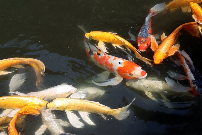 Imperial Palace East Garden and Edo Castle Walking Tour in Tokyo - Who will enjoy this Imperial Palace walk