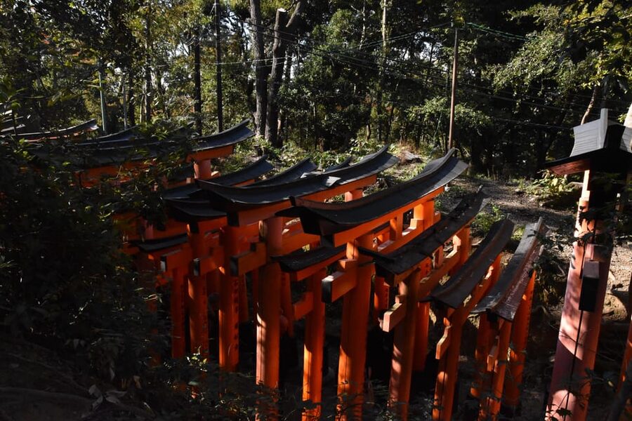 Inside of Fushimi Inari - exploring and lunch with locals - What the $67 Price Really Buys