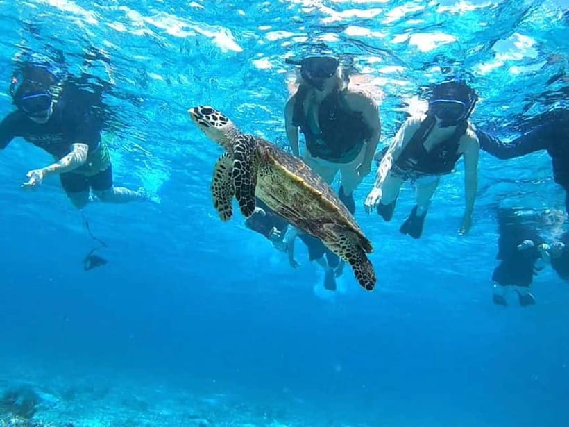 Iriomote: Boat Snorkeling Tour at Barasu Island - Language and group expectations