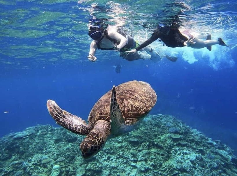 Iriomote: Boat Snorkeling Tour at Barasu Island - Is $50 a fair price?