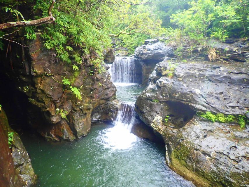 Iriomote Island: Guided 2-Hour Canyoning Tour - Rock jumps, small falls, and river pools
