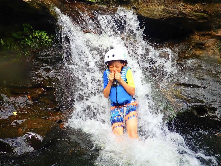 Iriomote Island: Guided 2-Hour Canyoning Tour - Guides who keep the adventure under control