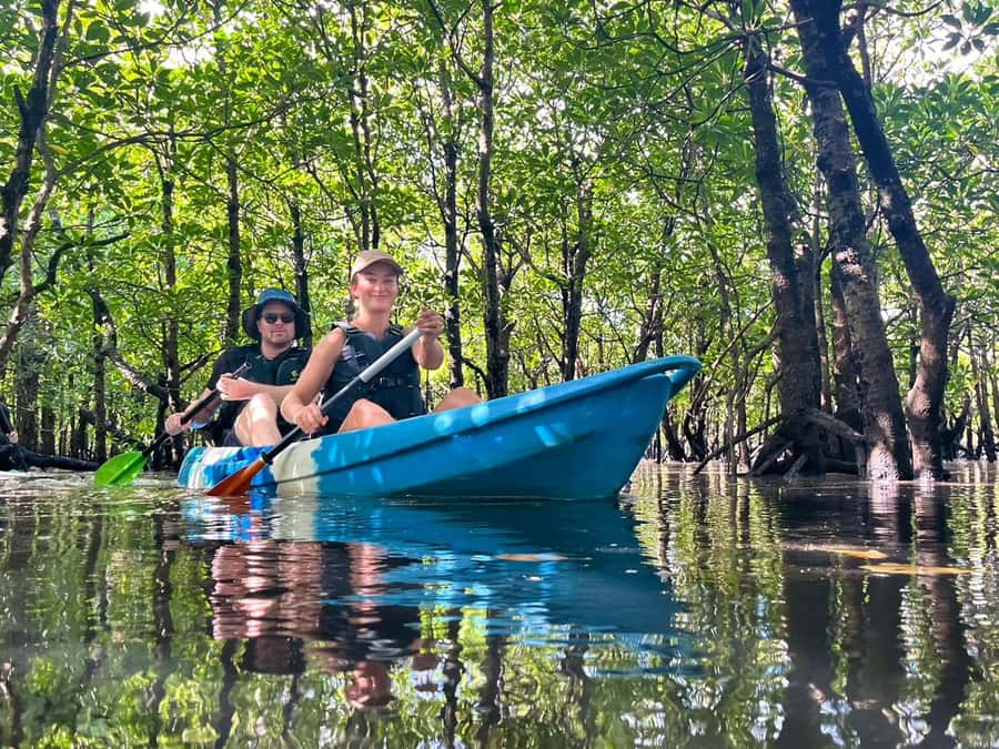Iriomote island: Mangrove River SUP or Canoe Cruising Tour - Key points to know before paddling out