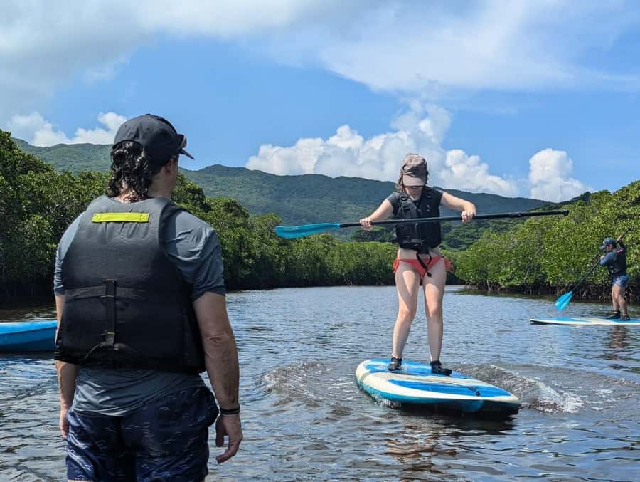 Iriomote island: Mangrove River SUP or Canoe Cruising Tour - Entering Iriomote’s mangrove country from Uehara Port