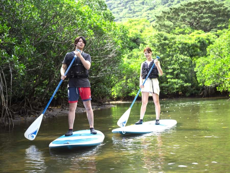 Iriomote island: Mangrove River SUP or Canoe Cruising Tour - What happens when the tide falls