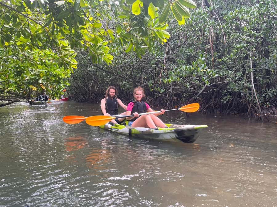 Iriomote island: Mangrove River SUP or Canoe Cruising Tour - What the $50 price really covers