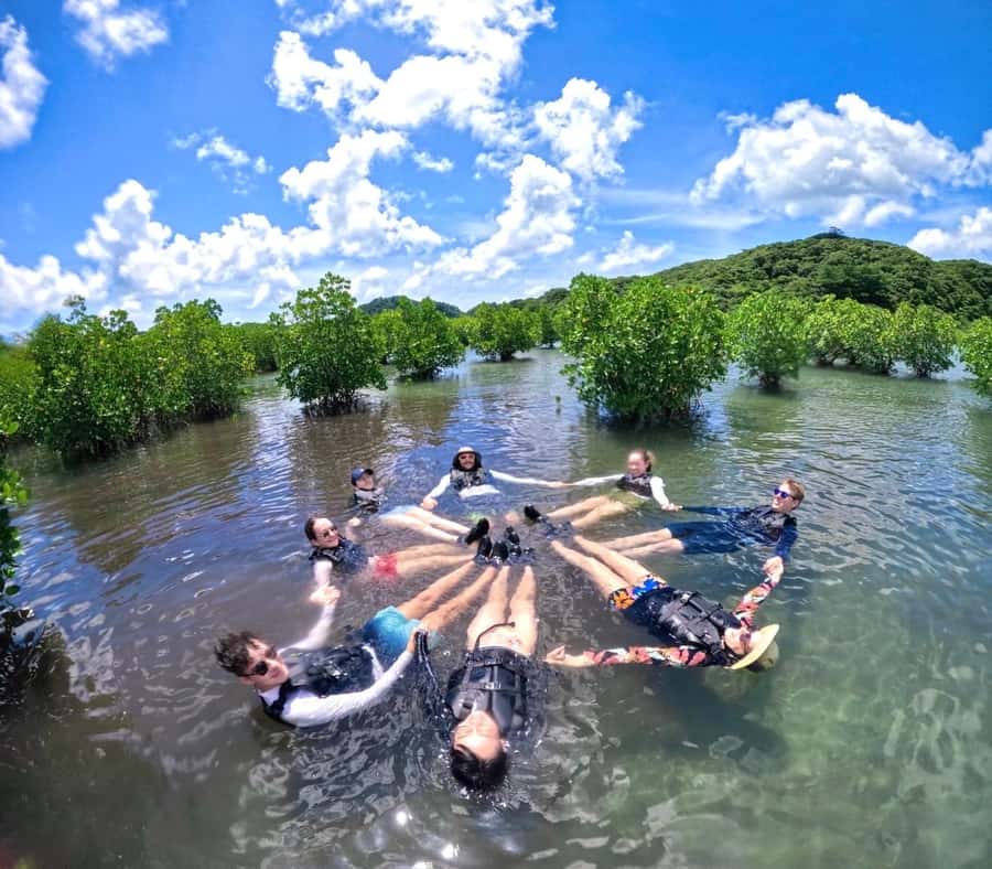 Iriomote island: Mangrove River SUP or Canoe Cruising Tour - Who should book this Uehara Port outing?