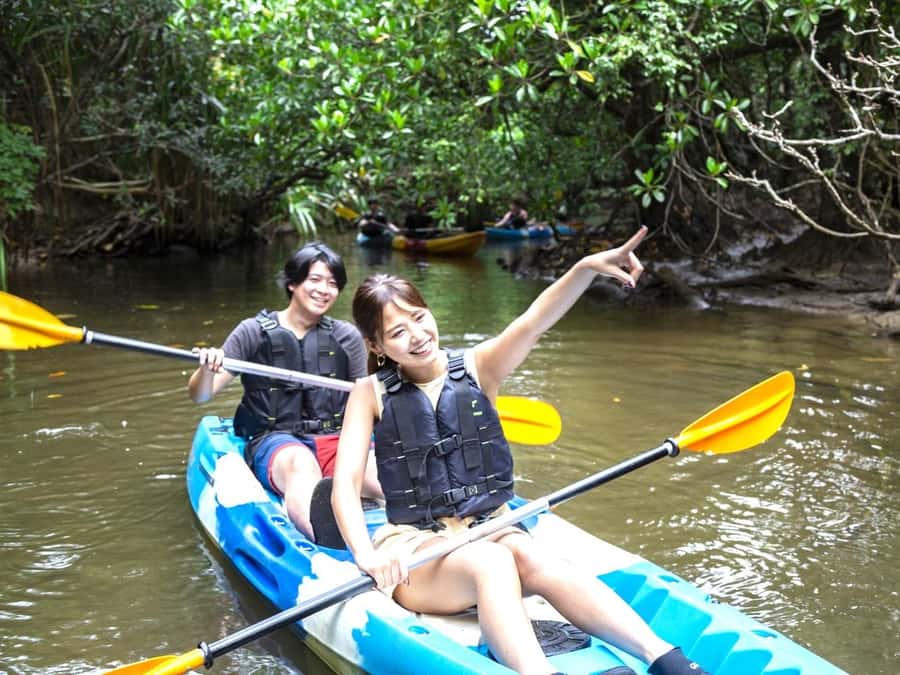 Iriomote island: Mangrove River SUP or Canoe Cruising Tour - Ninety minutes among roots, tides, and green water
