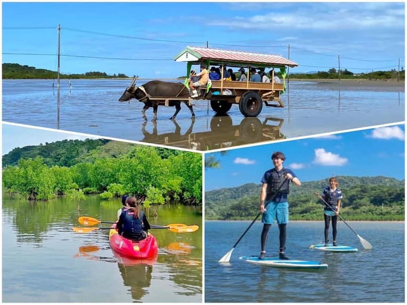 Iriomote: Mangrove SUP or Canoe and Yubujima sightseeing - Yubujima, a small island with a memorable crossing