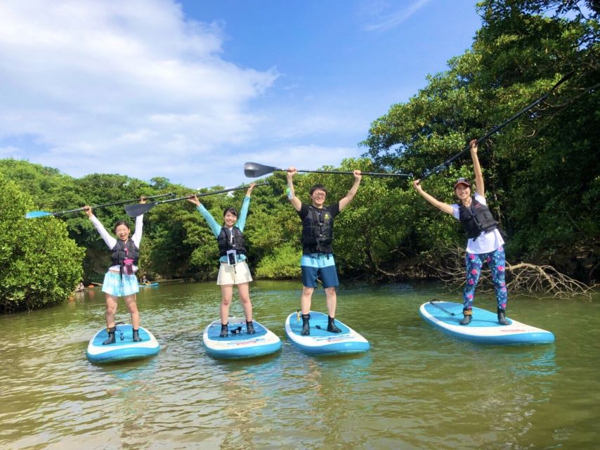Ishigaki Island: 2-Hour Miyara River SUP or Canoeing Tour - Who should book this Ishigaki canoe or SUP tour?