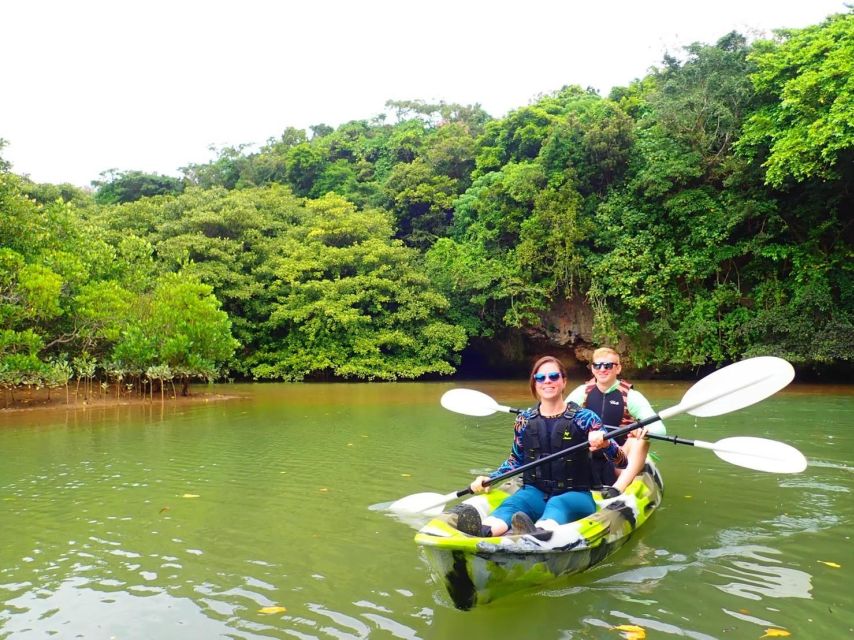 Ishigaki Island: 2-Hour Miyara River SUP or Canoeing Tour - Why the Miyara River is worth your morning