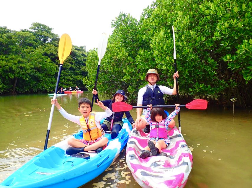 Ishigaki Island: 2-Hour Miyara River SUP or Canoeing Tour - What the forest feels like from the water