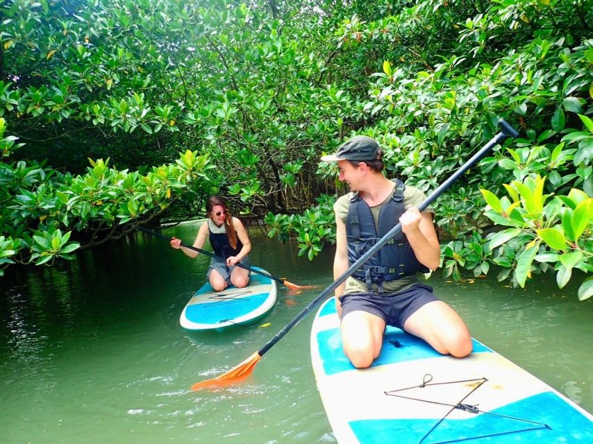 Ishigaki Island: 2-Hour Miyara River SUP or Canoeing Tour - Guides who make the difference