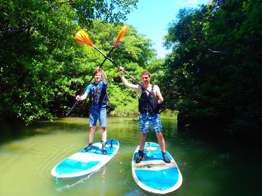 Ishigaki Island: 2-Hour Miyara River SUP or Canoeing Tour - Family-friendly, but check the age rules carefully